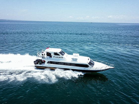 Arsiva Speedboat